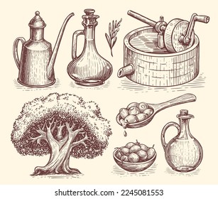 Olive oil production concept. Healthy organic natural farm food. Hand drawn vector sketches in vintage engraving style