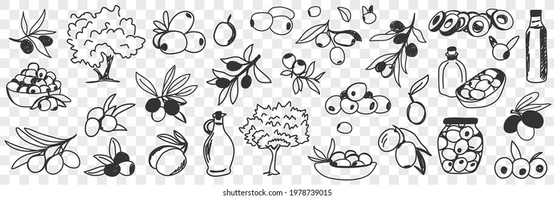 Olive oil production doodle set. Collection of hand drawn various olive trees fruits oil bottles and jars for eating and cooking in rows isolated on transparent background 