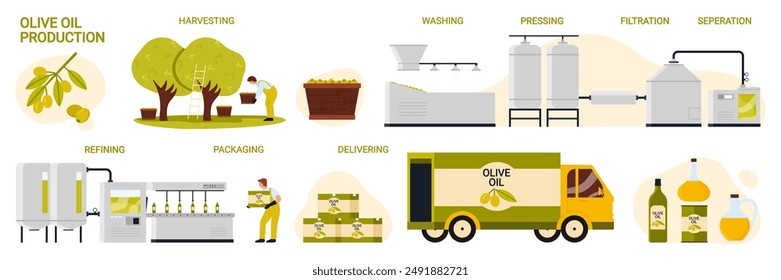 Olive oil production in factory, manufacture process stages set. Washing and pressing of olive harvest, filtration and refining with machinery, bottling for delivery cartoon vector illustration