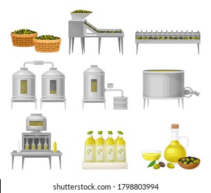 Olive Oil Production with Fruit Harvesting and Liquid Fat Extraction Vector Illustration Set