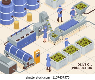 Olive oil production modern automated facility line isometric composition with collected fruit pressing extraction process vector illustration  