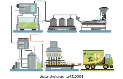 Olive Oil Production Process, Automated Line of Washing, Crushing, Separating, Bottling, Transporting Vector Illustration