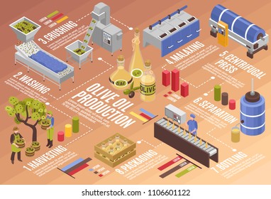 Olive oil production process isometric infographics from harvesting to bottling with centrifugal press and separation vector illustration  