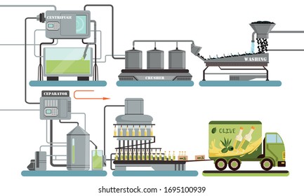Olive Oil Production Process, Olive Washing, Crushing, Separating, Bottling Automated Line Vector Illustration