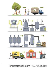 Olive oil production set. From trees to bottles.