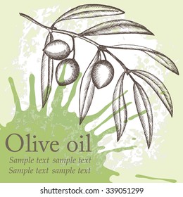 Olive oil set. Grange background. Hand drawn illustrration.Olive branch .