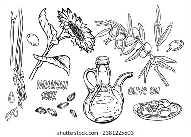 Juego de aceite de oliva, gráfico, vector, doodle dibujado a mano. Elementos para comida, girasol, aceitunas, rama, bolsa, limón, placa de cocina, botella virgen extra. Aceite para cosméticos y sueros.