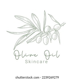 Olive Oil Skincare Logo for Natural and Beauty Logo