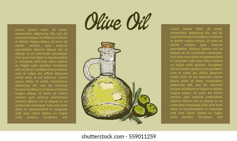 Olive oil and text for flyer design. 