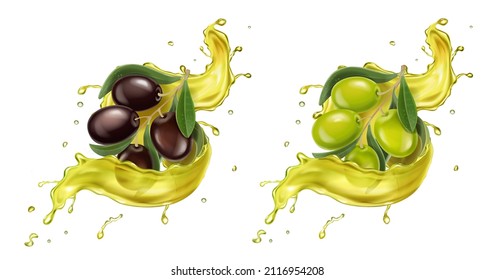 Olive oil transparent vector splash. Branch of black and green olives fruits with leaves, vector realistic.