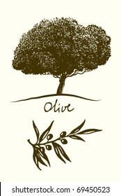 Olive oil (tree, branch)