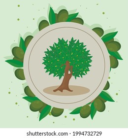 Olivenölbaum auf kreisförmigem Rahmen
