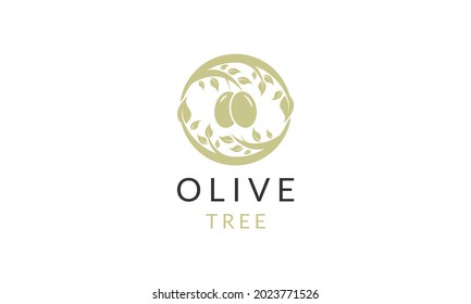 olive oil tree logo design vector
