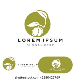 Olive oil tree vector illustration design template