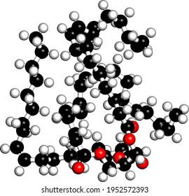 Olive oil triglyceride. Example of an olive oil triglyceride, containing 3 oleic acid moieties (glyceryl trioleate). 3D rendering. Atoms are represented as spheres with conventional color coding