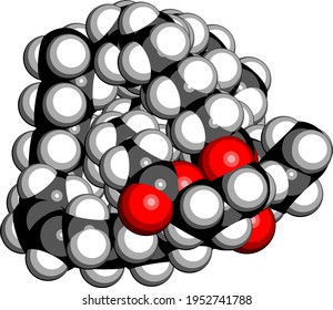 Olive oil triglyceride. Example of an olive oil triglyceride, containing 3 oleic acid moieties (glyceryl trioleate). 3D rendering. Atoms are represented as spheres with conventional color coding