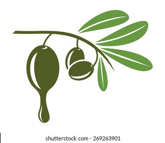 Olive oil vector illustration