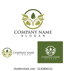 Olive oil vector illustration design template