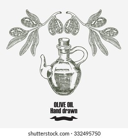 Olive oil vector illustration. Hand drawn olive tree and olive oil in jar. Vintage food logo design