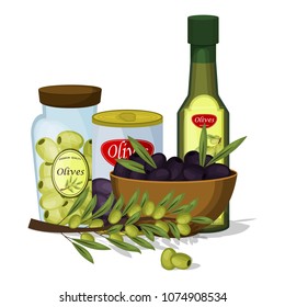 Olive oil vector products and decorations from olives branch healthy ingredient natural food fresh organic fruit illustration. Extra virgin bottle cuisine health plant. Diet beries fresh fruits.