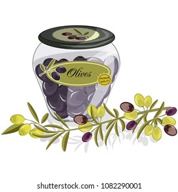 Olive oil vector products and decorations from olives branch healthy ingredient natural food fresh organic fruit illustration. Extra virgin bottle cuisine health plant. Diet berries fresh fruits.