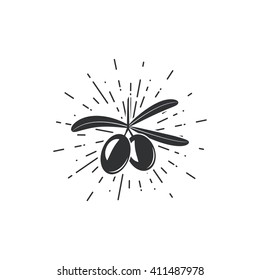 Olive Oil Vintage elements and page decoration. Filigree divider swirl olive design. Olive tree. branch. Vector illustration on white background.