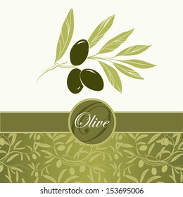 Olive oil.Vector decorative olive branch. For labels, pack.