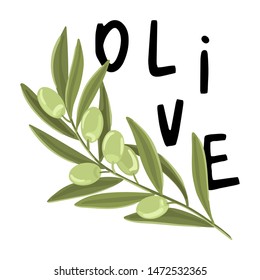 Olive with olives and green leaves. Text and title behind. Illustration on white background for your design. Vector flat cartoon style.