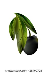 Olive on branch