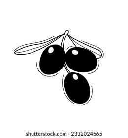 olive on a branch in doodle style