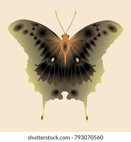 olive orange butterfly on a beige background