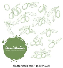 Olive outline sketch element set, olive branches isolated over white background, leaves, olives, vector hand drawn illustration