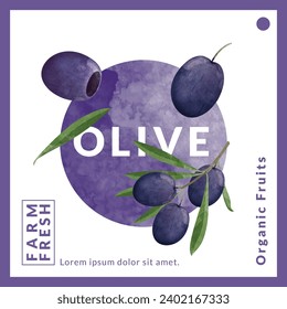 Olive packaging design templates, watercolour style vector illustration.