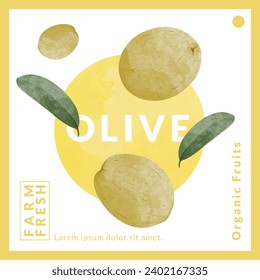 Plantillas de diseño de embalajes de oliva, ilustración vectorial de estilo acuarela.