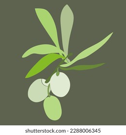 Olive pattern.Image on white and colored background.Vector.