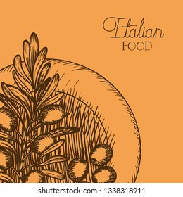 olive plant drawn italian food