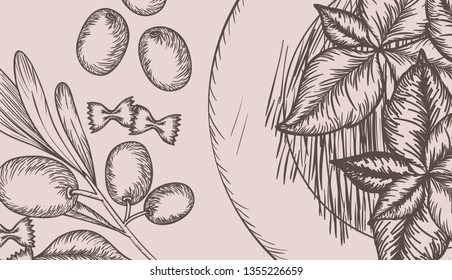 olive plant drawn italian food