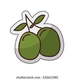 olive plant isolated icon vector illustration design