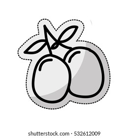olive plant isolated icon vector illustration design