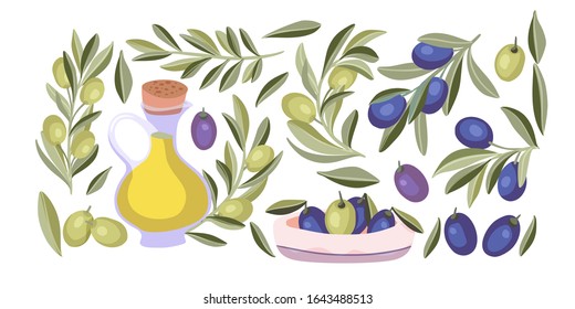 Olive plant isolated vector food set. Mediterranean organic nature and oil flat collection with green and black olives.