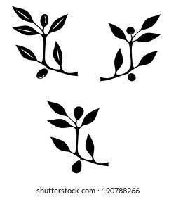 olive, plum and berry branch vector illustration
