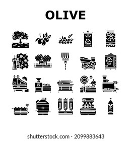 Olive Production And Harvesting Icons Set Vector. Olive Tree Cultivation And Berries Manual Harvest, Factory Shaker Table And Repository Industry Machine Glyph Pictograms Black Illustrations