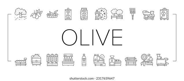 Olive Production And Harvesting Icons Set Vector. Olive Tree Cultivation And Berries Manual Harvest, Factory Shaker Table And Repository Industry Machine. Natural Food Black Contour Illustrations