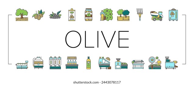Olive Production And Harvesting Icons Set Vector. Olive Tree Cultivation And Berries Manual Harvest, Factory Shaker Table And Repository Industry Machine Line. Natural Food Color Illustrations