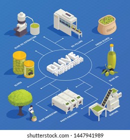 Olive production isometric flowchart with fruit harvesting sorting kneading oil extraction filling and packaging line vector illustration 