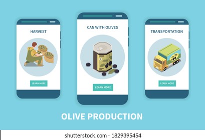 Olive production isometric set of three vertical banners with learn more buttons and images of harvest vector illustration