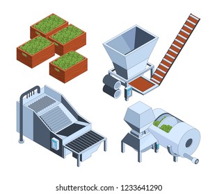 Olive Production. Oil Plants Extraction Technology Farm Tanks Press Fruits Manufacturing Bottle Crushed Food Vector Isometric