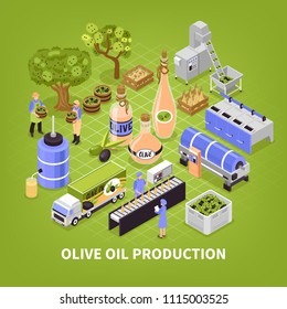 Olive production process isometric poster with fruit collection transportation oil extracting packaging infographic elements green background vector illustration 