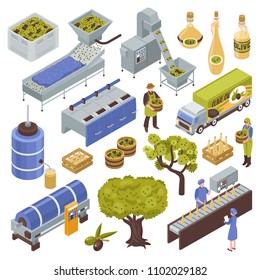 Olive production process isometric set with fruit harvesting transportation oil extraction filtering storage packing distribution vector illustration  