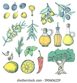 Olive products ans supplements set. Colorful sketchy illustrations on white background.